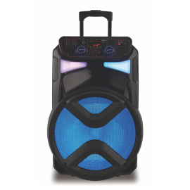 KARAOKA SPEAKER YB1350 15" WITH MIC