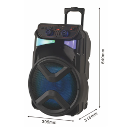 KARAOKA SPEAKER YB1350 15" WITH MIC