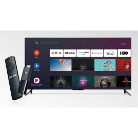 Xiaomi Mi TV Stick Built-in Chromecast with Voice Remote - 1080P HD