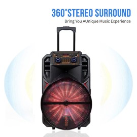 KARAOKA SPEAKER YB1502 15" 2 WIRELESS MIC
