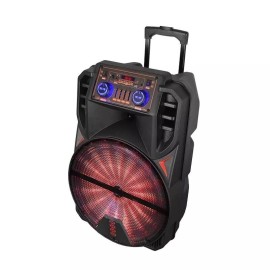 KARAOKA SPEAKER YB1502 15" 2 WIRELESS MIC